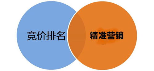 精準(zhǔn)洞察，破局制勝——如何系統(tǒng)研究競(jìng)爭(zhēng)對(duì)手的推廣與銷(xiāo)售策略